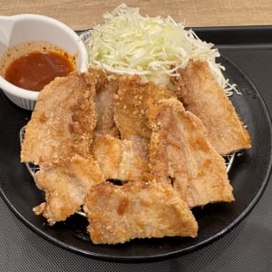 【松屋グルメ】ムートート大好き人間→ 松のや「ムートート定食」を食べる→ 結果