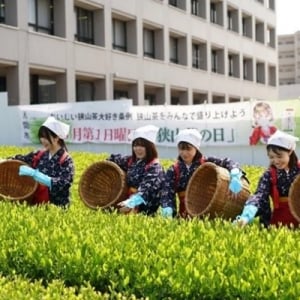 【埼玉県入間市】入間市役所の茶畑で「八十八夜新茶まつり」開催！手もみ実演、新茶の無料配布も