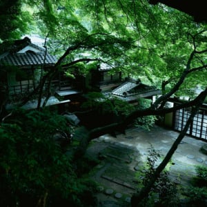 料理旅館「明治の森 箕面音羽山荘」が、開業20年記念の20％OFFキャンペーン実施中