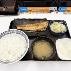 ほっけマニアが吉野家の「ほっけ定食」を食べましたよ