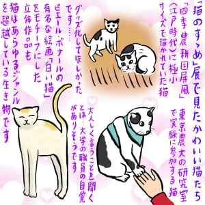 全猫好きにおすすめしたい　東京農大の猫についての企画展