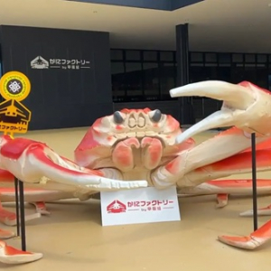 【福井県敦賀市】オープンファクトリー「かにファクトリー 甲羅組」が、オープンに向け最終段階に突入