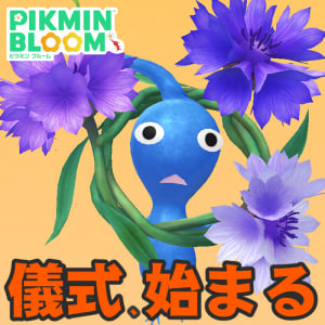 『ピクミン ブルーム』怖くない祭りのお題解禁!! 花かんむりのデコがかわいいミッドサマーフェスティバル初日リポート【プレイログ#1144】