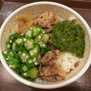 【グルメ】ネバネバとシャキシャキ　すき家で「めかぶオクラ牛丼」と「シャキうま塩野菜牛丼」を食べてみた