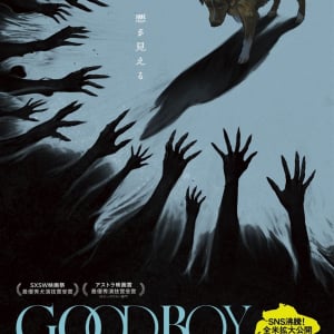 愛犬をホラー映画の“主演俳優”に　全編犬視点の異色映画『GOOD BOY／グッド・ボーイ』を監督＆プロデューサーが語る［ホラー通信］