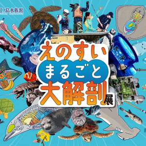 新江ノ島水族館、「えのすいまるごと大解剖展」7月3日より開催！スタンプラリー開催や限定グッズも登場