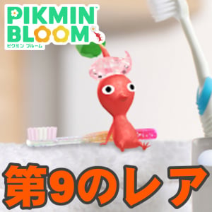 『ピクミン ブルーム』歯磨きにレアデコ!! 週末から登場する最新デコピクミン情報ガイド【プレイログ#1149】