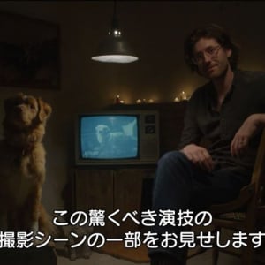 【ほっこり】“主演犬”の名演を引き出す撮影方法が明らかに　犬視点のホラー映画『GOOD BOY／グッド・ボーイ』メイキング映像［ホラー通信］