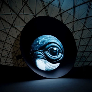 【東京都江東区】大阪・関西万博「BLUE OCEAN DOME」で公開した大型映像を日本科学未来館で特別上映