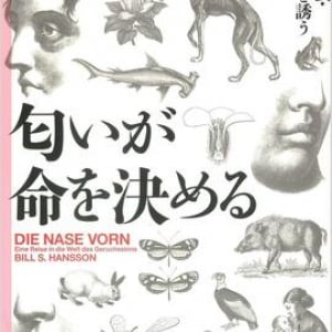 人間は匂いで”恐怖”を察知できる？ 生物の営みを支える「嗅覚」の奥深い世界
