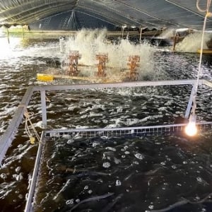 ファミマの土用の丑の日！ こだわり詰まった本格派「上 鹿児島県産うなぎ蒲焼重」を実食レポート