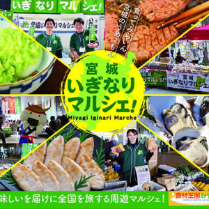 宮城県の美味しいものを集めた「宮城いぎなりマルシェ！」を全国で開催