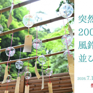 【三重県名張市】「赤目四十八滝」に2000個の風鈴が期間限定で登場！自然渓谷で清涼体験を楽しむ