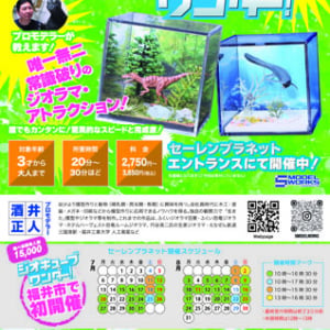 【福井県福井市】誰でも簡単に恐竜ジオラマの制作体験を楽しめる「ジオキューブ ワンダー！」開催