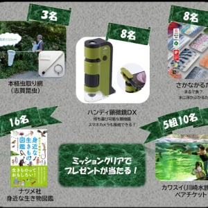 「セミ３種類撮ったらプレゼント当選？ 川崎市が「生き物探し」で夏休みイベント開催中」
