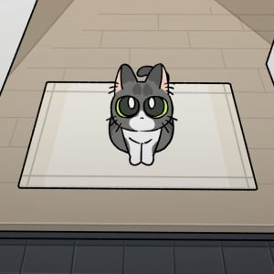 suis from ヨルシカ、TVアニメ『猫と竜』OPテーマ「猫日」MV公開