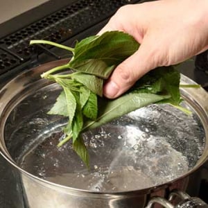 モロヘイヤの茹で方＆茹で時間！刻み方とおいしい簡単レシピも