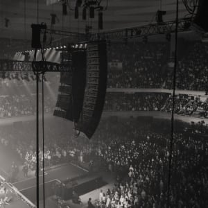 never young beach、再び日本武道館へ