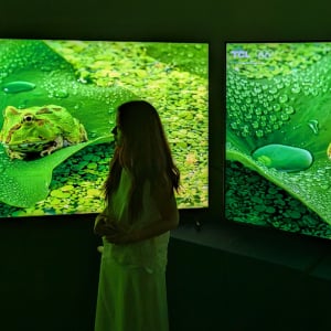TCLのSQD-Mini LED搭載テレビはなぜ高画質なのか　その理由が中国の開発・製造拠点に行って分かった気がする