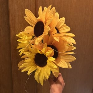 夏といえばひまわり！関西のひまわり畑5選🌻