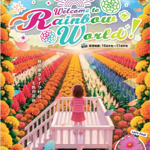 東京ドイツ村に今秋「レインボー花畑」が誕生！10万株超の花々が彩る秋の絶景が登場