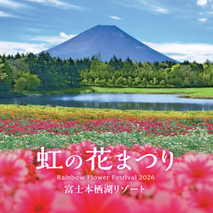 富士本栖湖リゾート、標高1,000mに8万株の花々が咲き誇る！「虹の花まつり2026」が8月29日より開催