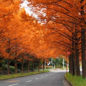 住民が選ぶ、子育てしやすい街「東京23区外」1位は唐木田！公園面積トップ、住民と作る冒険プレーパークや「孤立しない子育て」｜「SUUMO住み続けたい街ランキング2026 首都圏版」