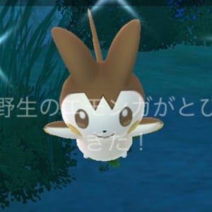 色違いエモンガを狙うなら今 / チームメガイベント前半の5kmタマゴは割るべきなのか？【ポケモンGO】