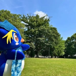 【千葉県千葉市】「おすそわけマルシェinちば」に宮城県栗原市の地域おこし協力隊が出店！特産品を販売