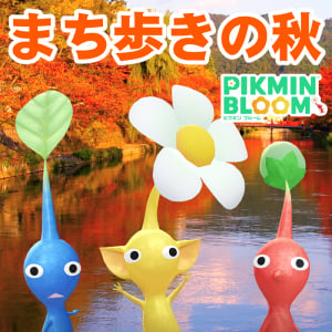 『ピクミン ブルーム』第3エリア解禁!! 京都が加わり秋の大型連休にぴったりないつでもウォーク最新まとめガイド【プレイログ#1185】