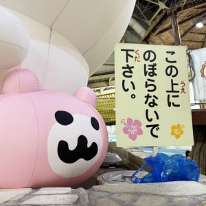 ちいかわウォーターランドに行ったジジイから行く人にアドバイス
