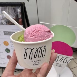 コンセプトは「地球を味わう。」「BONEARTH FOOD MARKET」のベジタブルクラフトアイスクリームが美しくておいしい