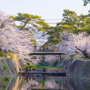 関西「住み続けたい街ランキング2026年版」発表！ 1位「さくら夙川」や『成瀬』旋風で沸く「膳所」が住民に愛される理由