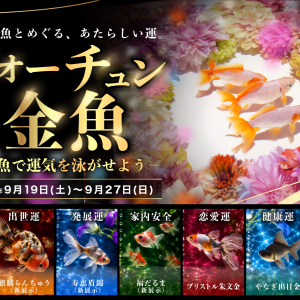 アートアクアリウム美術館 GINZA、開運パワーを持つ金魚に出会える展示イベント「フォーチュン金魚～金魚で運気を泳がせよう～」9月19日より開催！