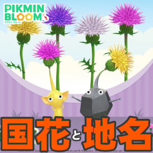 『ピクミン ブルーム』傷つけちゃうかも!? その名の由来納得しちゃうアザミが咲く最新環境ガイド【プレイログ#1188】