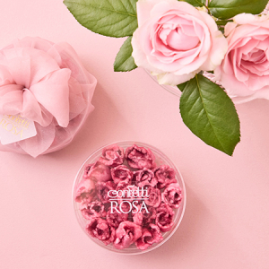 特別な日の贈り物に！薔薇を丸ごと砂糖菓子にしたプレミアムギフト「Rose Garden」