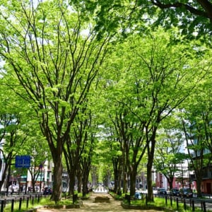 宮城県「住み続けたい街ランキング2026年版」自治体1位は仙台市若林区！ 駅1位は勾当台公園、子育て1位は利府町＆北四番丁が選ばれた理由