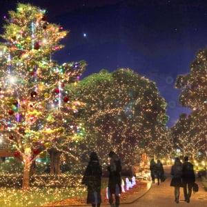 東京ミッドタウン、「MIDTOWN CHRISTMAS 2026」開催！しゃぼん玉が舞うイルミネーション＆特別なラウンジが初登場