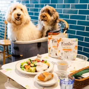 愛犬とおそろいの素材の食事が楽しめるドッグカフェが横浜に！　ユニ・チャーム「Frecious 素材実感Cafe」が期間限定で開催