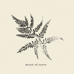 ヨツドメノディ、2nd EP『morph of spore』リリース決定