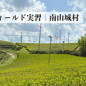 宇治茶の産地、京都・南山城村で茶畑から一杯のお茶までを体験！宇治茶フィールド実習「THE 茶法 SAHOW」開催
