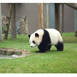 秋の行楽シーズン！「行ってよかった動物園&水族館ランキング2013」