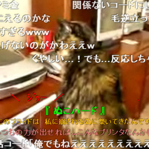 プリンターにビクビクする猫の動画がキュートすぎる！