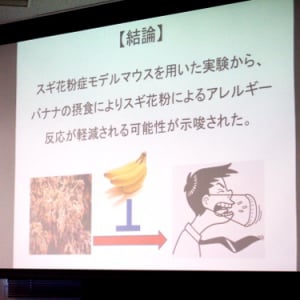 これから迎える辛い花粉の季節に朗報！　バナナが若い男性のスギ花粉症を軽減すると筑波大学の研究グループが発表