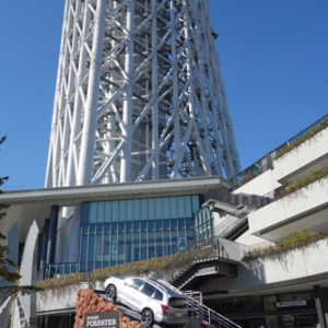 クリスマスは東京スカイツリーで斜めになってみる？　『FORESTER LIVE』が挑んだ52％急斜面が体験できるイベント開催中