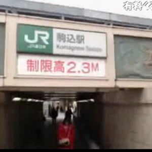 【東京おもしろ散歩】山手線一周の旅「駒込駅」：横山緑の「みどりぽ(7)」
