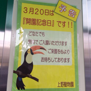 上野動物園がジャイアントパンダの展示を再開　3月20日は開園記念日で入園料が無料！　