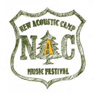 〈New Acoustic Camp 2014〉第1弾でPredawn、フラカン、安藤裕子ら14組発表
