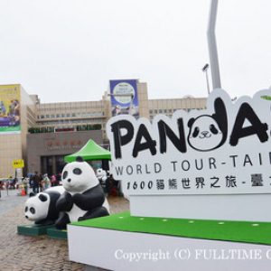 【台北 最新レポ】台北に1600匹の紙パンダが出現!