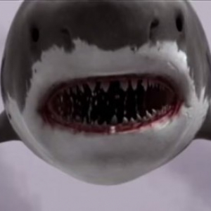 ジョーズあり！ サメ竜巻あり!!　7月の『午後のロードショー』はサメ映画を特集上映！［ホラー通信］